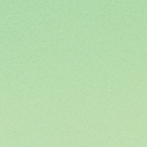 Feuille de feutrine épaisse 2 mm 30,5 x 30,5 cm - Pastel vert