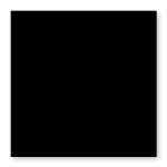 Carte faire part Pollen 210g 160 x 160mm par 25 - Noir