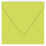 Enveloppe faire part Pollen 120g 165 x 165mm par 20 - Vert Bourgeon