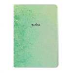 Carnet Mes notes 10 x 16 cm Vert