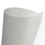 Canson Home Déco Plastique souple 455 g/m² 50 x 70cm - Argent