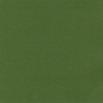 Papier Bazzill Toile 30,5 x 30,5 cm - 216 g/m² - Vert Ivy