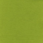Papier Bazzill Toile 30,5 x 30,5 cm - 216 g/m² - Vert Hillary