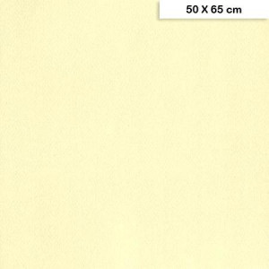 Papier à grain Etival Color 160 g/m² 50 x 65 cm - 82 Ivoire