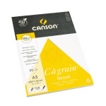 C A GRAIN 224G BLOC 20F A3