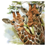 Broderie Diamant kit  intermédiaire Tendres girafes
